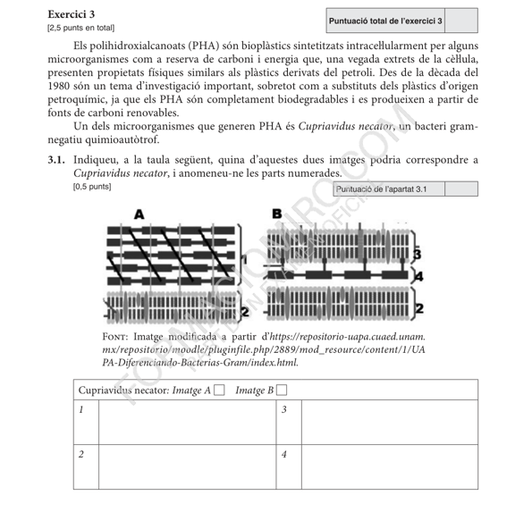 Selectividad Biologia convocatoria juny 2026