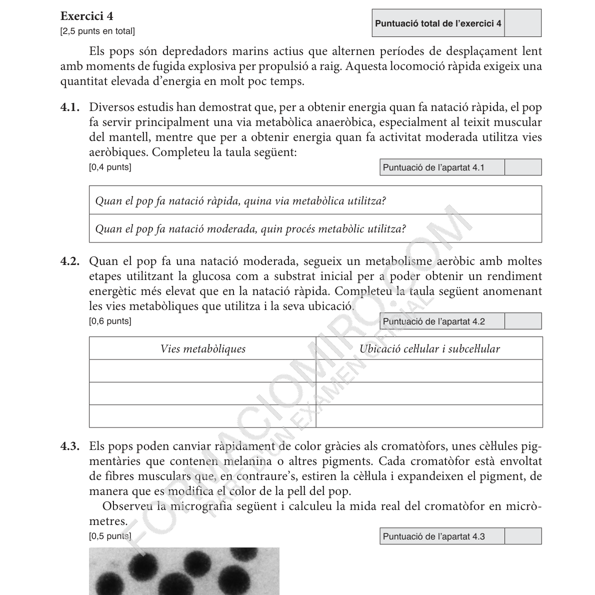 Selectividad Biologia convocatoria juny 2026