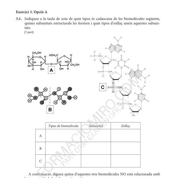 Selectividad Ciencias generales convocatoria junio 2024